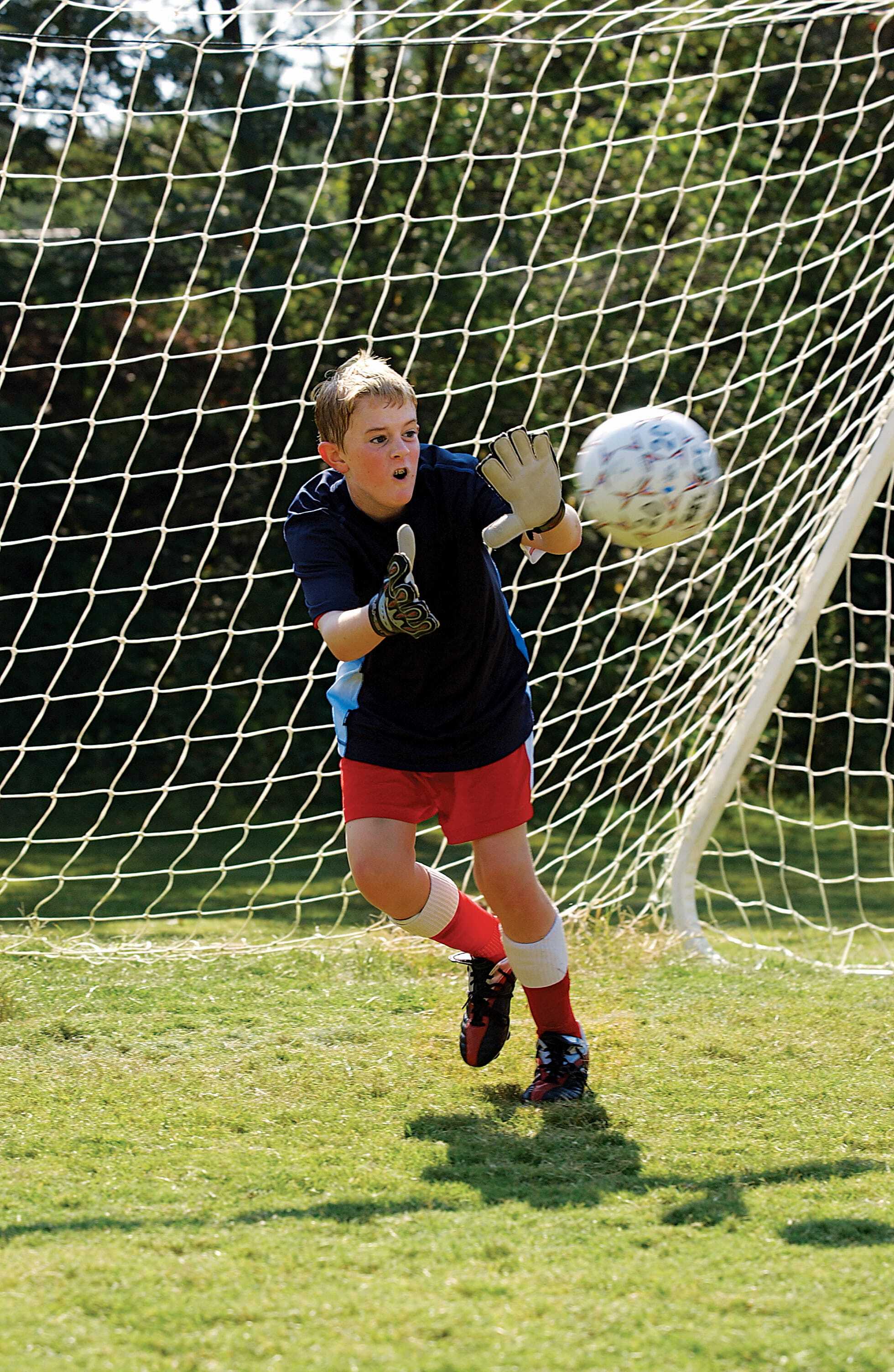 Program Individual 6